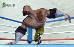 Clic en la imagen para ver su versión completa. 

Nombre: luchadorweb.jpg 
Visitas: 389 
Tamaño: 74.1 KB 
ID: 108962