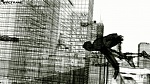 Clic en la imagen para ver su versión completa. 

Nombre: MO_05.jpg 
Visitas: 216 
Tamaño: 190.8 KB 
ID: 109295