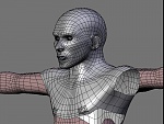 Clic en la imagen para ver su versión completa. 

Nombre: torso.jpg 
Visitas: 850 
Tamaño: 127.3 KB 
ID: 112494