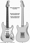 Clic en la imagen para ver su versión completa. 

Nombre: stratocaster.jpeg 
Visitas: 12126 
Tamaño: 137.7 KB 
ID: 122624