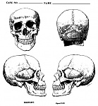 Clic en la imagen para ver su versión completa. 

Nombre: calavera.jpeg 
Visitas: 33552 
Tamaño: 69.1 KB 
ID: 122713