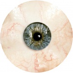 Clic en la imagen para ver su versión completa. 

Nombre: ojo-difuse.jpeg 
Visitas: 829 
Tamaño: 37.5 KB 
ID: 122813