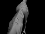 Clic en la imagen para ver su versión completa. 

Nombre: carnotaurus4caparicio18.jpg 
Visitas: 487 
Tamaño: 38.6 KB 
ID: 131623