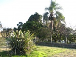 Clic en la imagen para ver su versión completa. 

Nombre: 2690622855_622bd66714_b.jpg 
Visitas: 4883 
Tamaño: 613.6 KB 
ID: 147290