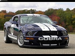 Clic en la imagen para ver su versión completa. 

Nombre: ford_2006-Mustang-FR500-GT-002_3.jpg 
Visitas: 2607 
Tamaño: 176.4 KB 
ID: 147419