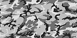 Clic en la imagen para ver su versión completa. 

Nombre: Camouflage0002_L.jpg 
Visitas: 5573 
Tamaño: 436.5 KB 
ID: 148410