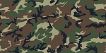 Clic en la imagen para ver su versión completa. 

Nombre: Camouflage0003_L.jpg 
Visitas: 7795 
Tamaño: 430.1 KB 
ID: 148411