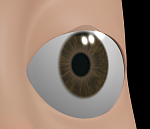 Clic en la imagen para ver su versión completa. 

Nombre: ojo abierto.png 
Visitas: 2439 
Tamaño: 582.4 KB 
ID: 152299