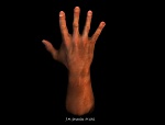 Clic en la imagen para ver su versión completa. 

Nombre: hand final Up.jpg 
Visitas: 2114 
Tamaño: 112.3 KB 
ID: 152713