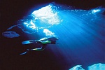 Clic en la imagen para ver su versión completa. 

Nombre: Submarinismo en Adeje.jpg 
Visitas: 3098 
Tamaño: 167.3 KB 
ID: 153830