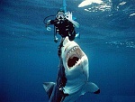 Clic en la imagen para ver su versión completa. 

Nombre: allokdivebuddytv3.jpg 
Visitas: 2397 
Tamaño: 276.3 KB 
ID: 153831