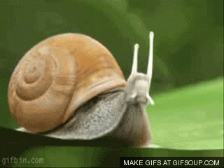 Nombre:  1944984_o.gif
Visitas: 1188
Tamaño: 3.96 MB