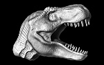 Clic en la imagen para ver su versión completa. 

Nombre: Trex primer render.jpg 
Visitas: 3120 
Tamaño: 497.0 KB 
ID: 154341