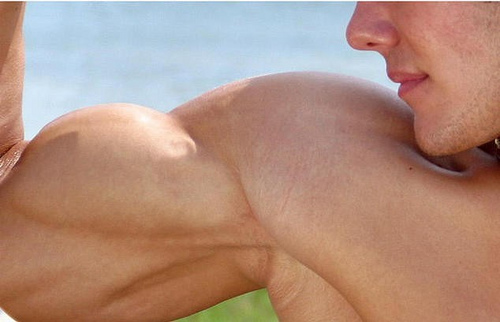 Nombre:  flexing-bicep.jpg
Visitas: 822
Tamaño: 60.9 KB