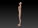 Clic en la imagen para ver su versión completa. 

Nombre: cuerpo-detallado-2.jpg 
Visitas: 141 
Tamaño: 63.3 KB 
ID: 156637