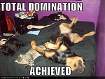 Clic en la imagen para ver su versión completa.&nbsp;

Nombre: 7d0d4_funny-dog-pictures-domination-achieved.jpg&nbsp;
Visitas: 28322&nbsp;
Tamaño: 32.0 KB&nbsp;
ID: 157618