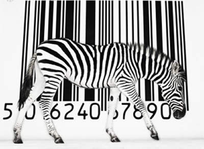 Nombre:  lun1101codigos.jpg
Visitas: 800
Tamaño: 21.7 KB