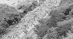 Clic en la imagen para ver su versión completa. 

Nombre: 16fo4.jpg 
Visitas: 126 
Tamaño: 71.2 KB 
ID: 158969