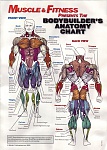 Clic en la imagen para ver su versión completa. 

Nombre: AnatomyChart.jpg 
Visitas: 8155 
Tamaño: 201.1 KB 
ID: 162015