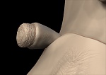 Clic en la imagen para ver su versión completa. 

Nombre: WIP5.jpg 
Visitas: 361 
Tamaño: 60.3 KB 
ID: 166877