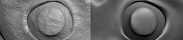 Nombre:  4.jpg
Visitas: 1878
Tamaño: 6.0 KB