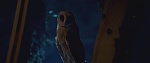 Clic en la imagen para ver su versión completa. 

Nombre: CAPTURA 2.jpg 
Visitas: 336 
Tamaño: 33.0 KB 
ID: 168021