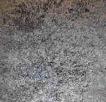 Clic en la imagen para ver su versión completa.&nbsp;

Nombre: 68187.jpg&nbsp;
Visitas: 31303&nbsp;
Tamaño: 230.0 KB&nbsp;
ID: 169194