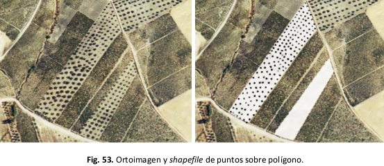 Nombre:  12.jpg
Visitas: 6460
Tamaño: 141.4 KB