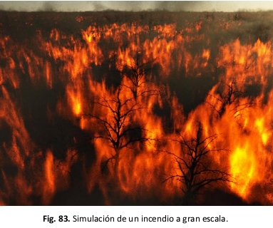 Nombre:  1.jpg
Visitas: 14335
Tamaño: 104.8 KB