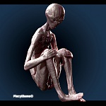 Clic en la imagen para ver su versión completa. 

Nombre: render paginas.jpg 
Visitas: 368 
Tamaño: 341.8 KB 
ID: 172502