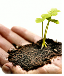 Clic en la imagen para ver su versión completa. 

Nombre: Poca inversión y proyección internacional para el diseño gráfico.png 
Visitas: 1380 
Tamaño: 38.6 KB 
ID: 173691