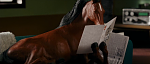 Clic en la imagen para ver su versión completa. 

Nombre: shot0005.png 
Visitas: 289 
Tamaño: 511.9 KB 
ID: 174498