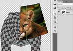 Clic en la imagen para ver su versión completa. 

Nombre: Sin título-3.jpg 
Visitas: 258 
Tamaño: 159.4 KB 
ID: 175257
