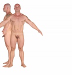 Clic en la imagen para ver su versión completa. 

Nombre: referencia cuerpo2.jpg 
Visitas: 885 
Tamaño: 291.2 KB 
ID: 175484