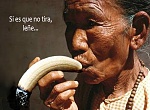 Clic en la imagen para ver su versión completa. 

Nombre: banana-porro.jpg 
Visitas: 607 
Tamaño: 69.4 KB 
ID: 175667