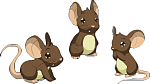 Clic en la imagen para ver su versión completa. 

Nombre: Ratones.png 
Visitas: 7390 
Tamaño: 55.7 KB 
ID: 176382