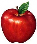 Clic en la imagen para ver su versión completa. 

Nombre: manzana.jpg 
Visitas: 336 
Tamaño: 9.6 KB 
ID: 178488