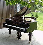 Clic en la imagen para ver su versión completa. 

Nombre: Piano_Pokorny_1905.JPG 
Visitas: 437 
Tamaño: 574.0 KB 
ID: 179072