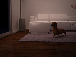 Clic en la imagen para ver su versión completa. 

Nombre: ruido.jpg 
Visitas: 1099 
Tamaño: 60.7 KB 
ID: 181727