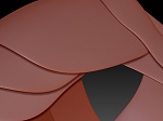 Clic en la imagen para ver su versión completa. 

Nombre: zbrush_1.jpg 
Visitas: 266 
Tamaño: 426.0 KB 
ID: 182416