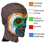Clic en la imagen para ver su versión completa. 

Nombre: Topologia de la cara.jpg 
Visitas: 7047 
Tamaño: 52.1 KB 
ID: 186569