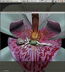 Clic en la imagen para ver su versión completa.&nbsp;

Nombre: efecto-de-castillo-animado-en-blender-4.jpg&nbsp;
Visitas: 3566&nbsp;
Tamaño: 72.9 KB&nbsp;
ID: 186610