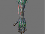 Clic en la imagen para ver su versión completa. 

Nombre: taller-3d-introducción-BlenRig-17.jpg 
Visitas: 382 
Tamaño: 10.4 KB 
ID: 186657