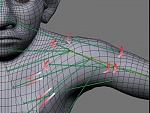 Clic en la imagen para ver su versión completa. 

Nombre: taller-3d-introducción-BlenRig-21.jpg 
Visitas: 364 
Tamaño: 34.4 KB 
ID: 186661