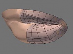 Clic en la imagen para ver su versión completa. 

Nombre: modelado-de-una-cara-taonui_14.jpg 
Visitas: 244 
Tamaño: 8.6 KB 
ID: 186796