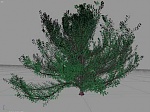 Clic en la imagen para ver su versión completa. 

Nombre: Modelado-Orgánico-de-árboles-y-plantas-en-Blender_1.jpg 
Visitas: 3321 
Tamaño: 19.8 KB 
ID: 186816