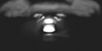 Clic en la imagen para ver su versión completa. 

Nombre: Cómo-se-hizo-el-sombreado-de-piel-en-Blender-imagen-5.jpg 
Visitas: 1220 
Tamaño: 4.3 KB 
ID: 187240