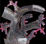 Clic en la imagen para ver su versión completa.&nbsp;

Nombre: making-of-chica-de-cristal-en-blender-imagen-5.jpg&nbsp;
Visitas: 522&nbsp;
Tamaño: 59.9 KB&nbsp;
ID: 187546