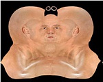 Clic en la imagen para ver su versión completa. 

Nombre: Fig_11_SkinMaps.jpg 
Visitas: 2640 
Tamaño: 12.8 KB 
ID: 188341