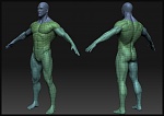 Clic en la imagen para ver su versión completa. 

Nombre: newBodyTopology.jpg 
Visitas: 1486 
Tamaño: 139.2 KB 
ID: 188495